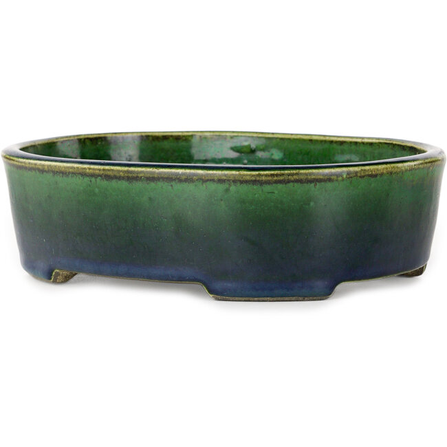 Maceta ovalada para bonsái verde de Terahata Satomi Mazan - 192 x 160 x 55 mm