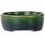 Maceta ovalada para bonsái verde de Terahata Satomi Mazan - 192 x 160 x 55 mm