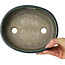 Ovale groene bonsaipot van Terahata Satomi Mazan - 192 x 160 x 55 mm