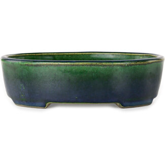  Satomi Mazan, Mazan Terahata Vaso bonsai verde ovale da 192 mm di Terahata Satomi Mazan, Tokoname, Giappone