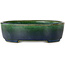 Maceta ovalada para bonsái verde de Terahata Satomi Mazan - 192 x 160 x 55 mm