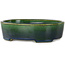 Maceta ovalada para bonsái verde de Terahata Satomi Mazan - 192 x 160 x 55 mm