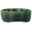 Pot à bonsaï ovale vert par Terahata Satomi Mazan - 192 x 160 x 55 mm