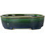 Pot à bonsaï ovale vert par Terahata Satomi Mazan - 192 x 160 x 55 mm