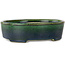 Oval green bonsai pot by Terahata Satomi Mazan - 192 x 160 x 55 mm