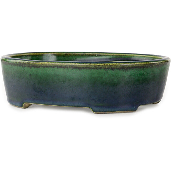 Pot à bonsaï ovale vert par Terahata Satomi Mazan - 192 x 160 x 55 mm