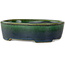 Ovale groene bonsaipot van Terahata Satomi Mazan - 192 x 160 x 55 mm