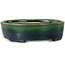 Vaso bonsai ovale verde di Terahata Satomi Mazan - 192 x 160 x 55 mm