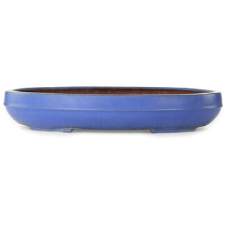  Reihou (Bonsai Matsushita Hiroyuki or Mr.MATSUSHITA Reiji    Master) Ovale blauwe bonsaipot van 455 mm van Reiho, Tokoname, Japan