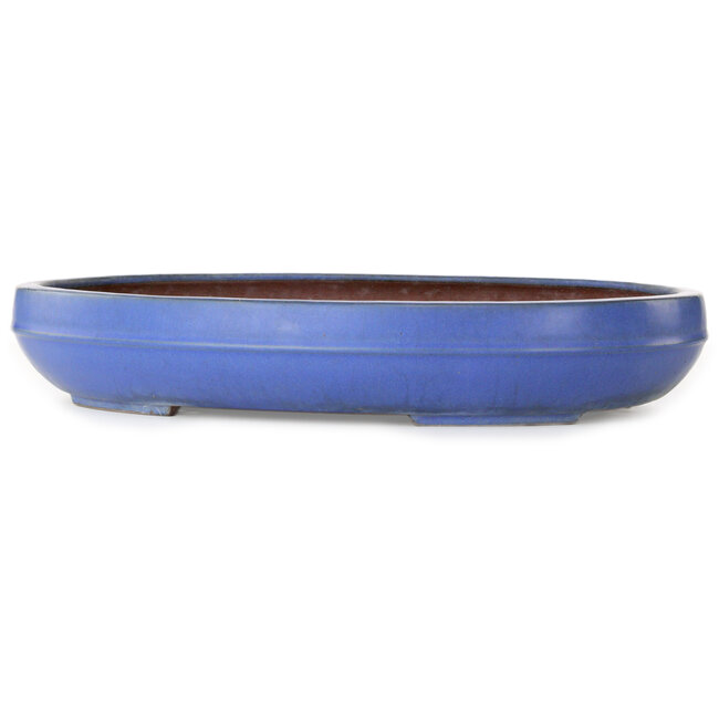 Ovaler blauer Bonsai-Topf von Reiho – 455 x 345 x 78 mm