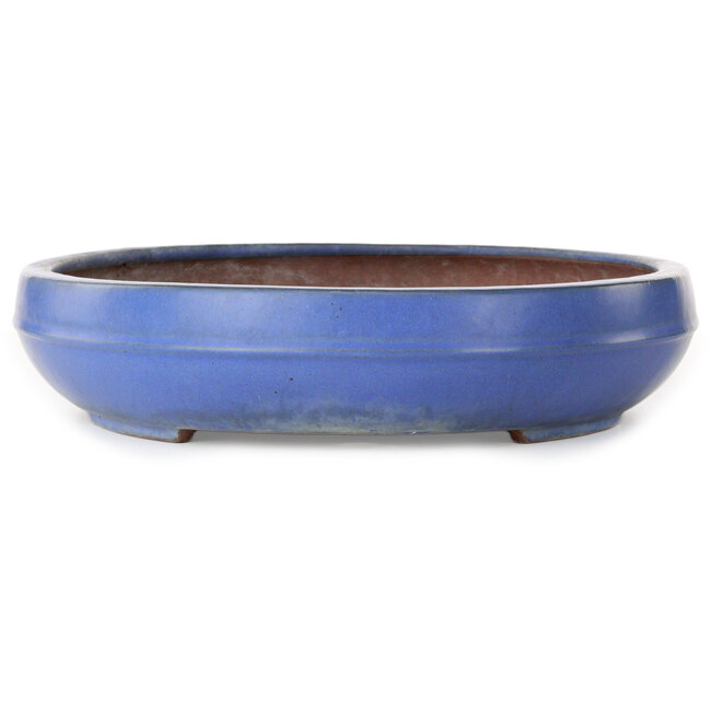 Pot ovale bleu pour bonsaï de Reiho - 455 x 345 x 78 mm