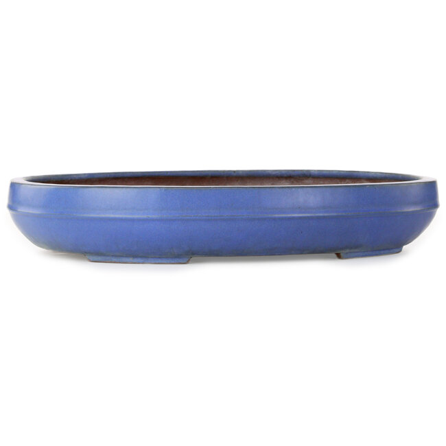 Oval blue bonsai pot by Reiho - 455 x 345 x 78 mm