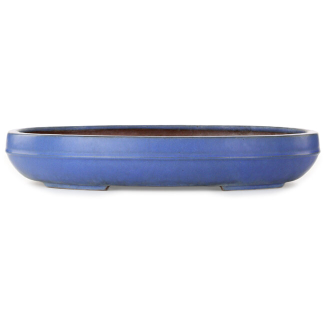 Oval blue bonsai pot by Reiho - 455 x 345 x 78 mm