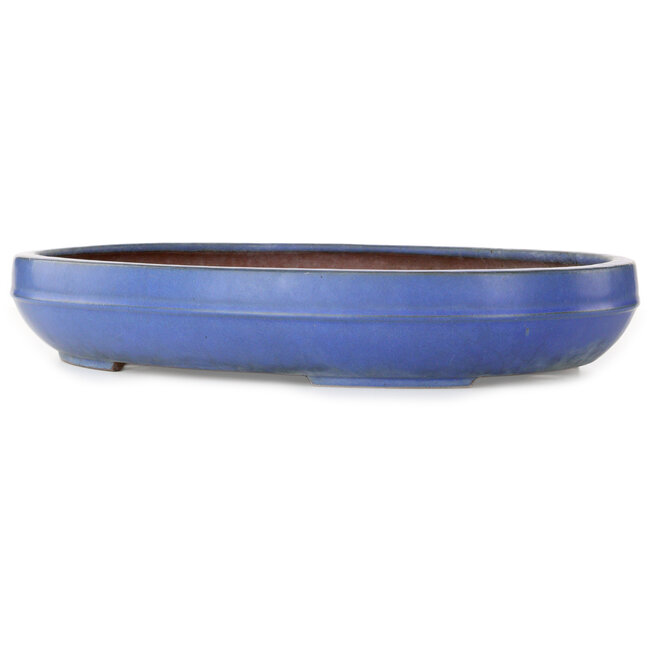 Ovaler blauer Bonsai-Topf von Reiho – 455 x 345 x 78 mm