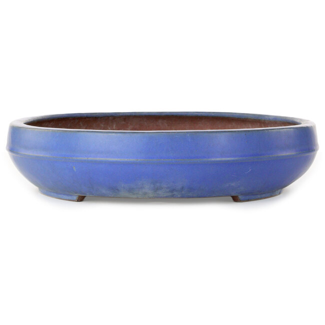 Pot ovale bleu pour bonsaï de Reiho - 455 x 345 x 78 mm