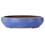 Oval blue bonsai pot by Reiho - 455 x 345 x 78 mm