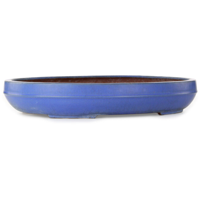 Oval blue bonsai pot by Reiho - 455 x 345 x 78 mm