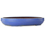 Ovaler blauer Bonsai-Topf von Reiho – 455 x 345 x 78 mm