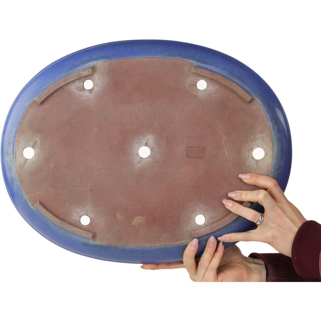 Maceta ovalada azul para bonsái de Reiho - 455 x 345 x 78 mm
