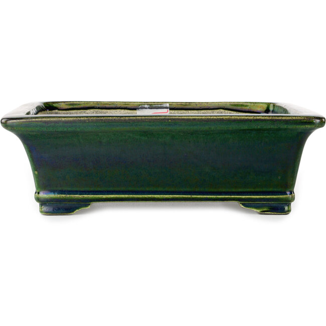 Rectangular green bonsai pot by Terahata Satomi Mazan - 278 x 245 x 90 mm
