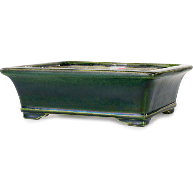 Maceta rectangular para bonsái verde de Terahata Satomi Mazan - 278 x 245 x 90 mm