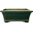 Rectangular green bonsai pot by Terahata Satomi Mazan - 278 x 245 x 90 mm