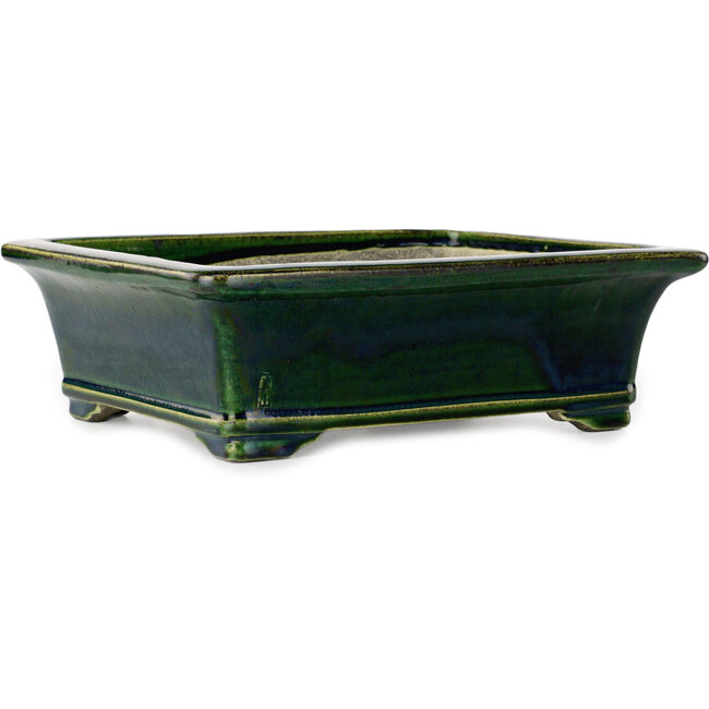 Maceta rectangular para bonsái verde de Terahata Satomi Mazan - 278 x 245 x 90 mm