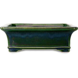 Satomi Mazan, Mazan Terahata Maceta rectangular para bonsái verde de 278 mm de Terahata Satomi Mazan, Tokoname, Japón