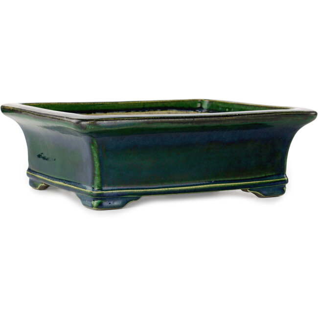Maceta rectangular para bonsái verde de Terahata Satomi Mazan - 278 x 245 x 90 mm