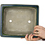 Rechthoekige groene bonsaipot van Terahata Satomi Mazan - 278 x 245 x 90 mm
