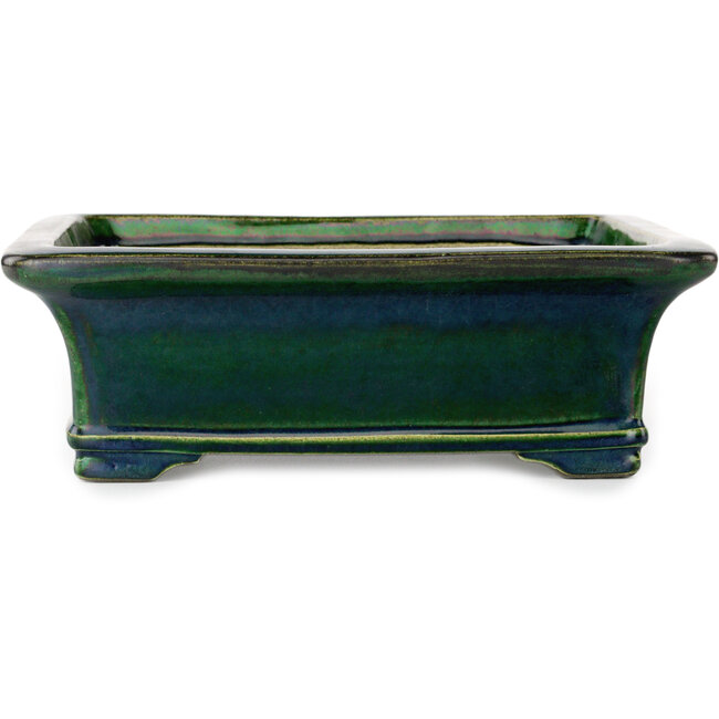 Rectangular green bonsai pot by Terahata Satomi Mazan - 278 x 245 x 90 mm