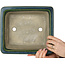Rectangular green bonsai pot by Terahata Satomi Mazan - 278 x 245 x 90 mm