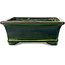 Rectangular green bonsai pot by Terahata Satomi Mazan - 278 x 245 x 90 mm