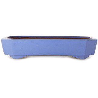  Yamafusa - Takehiko Koie 400 mm rectangular blue bonsai pot by Yamafusa, Tokoname, Japan
