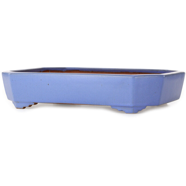 Rechthoekige blauwe bonsaipot van Yamafusa - 400 x 295 x 82 mm