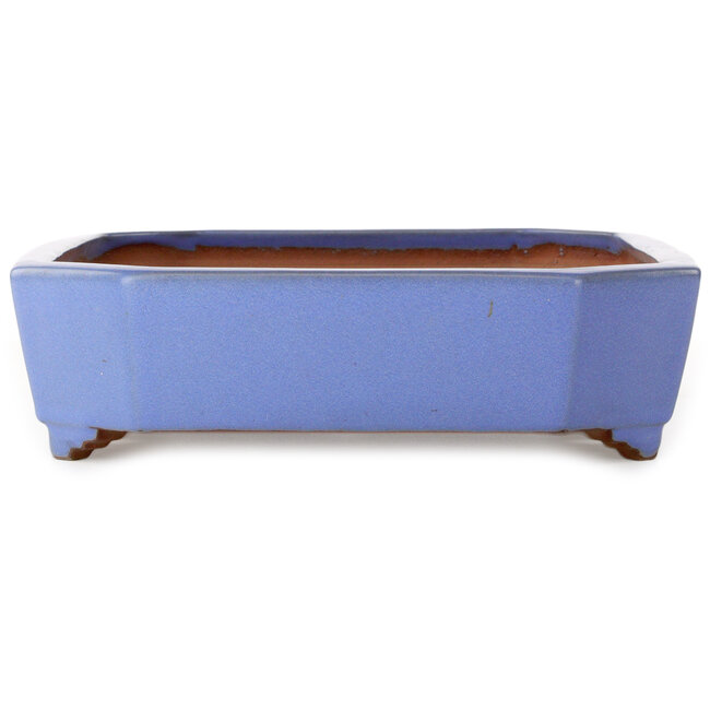 Maceta rectangular azul para bonsái de Yamafusa - 400 x 295 x 82 mm