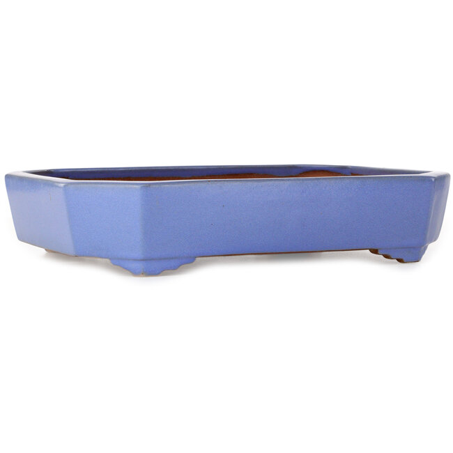 Rectangular blue bonsai pot by Yamafusa - 400 x 295 x 82 mm