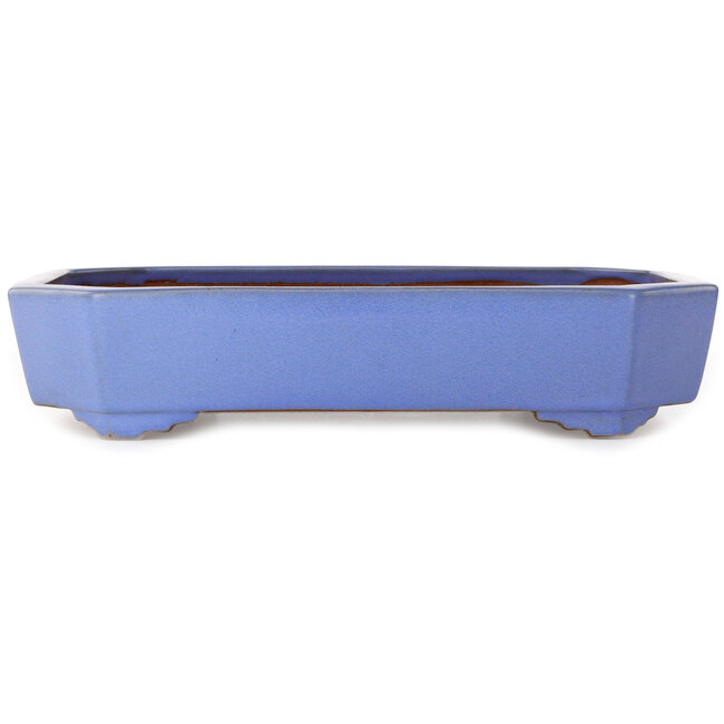 Maceta rectangular azul para bonsái de Yamafusa - 400 x 295 x 82 mm