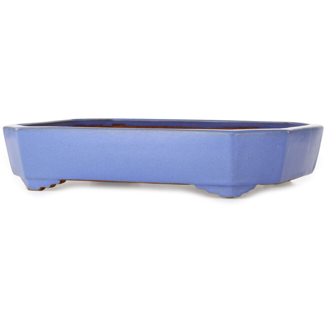 Rechteckiger blauer Bonsai-Topf von Yamafusa – 400 x 295 x 82 mm