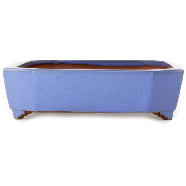 Maceta rectangular azul para bonsái de Yamafusa - 400 x 295 x 82 mm