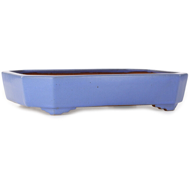 Maceta rectangular azul para bonsái de Yamafusa - 400 x 295 x 82 mm