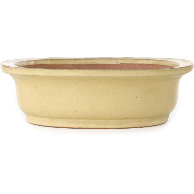Oval off-white bonsai pot by Reiho - 460 x 322 x 92 mm