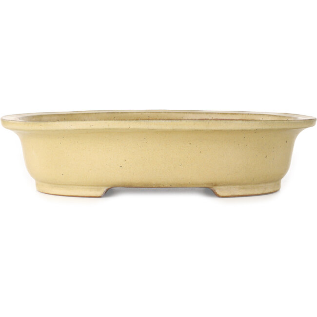 Pot à bonsaï ovale blanc cassé de Reiho - 460 x 322 x 92 mm