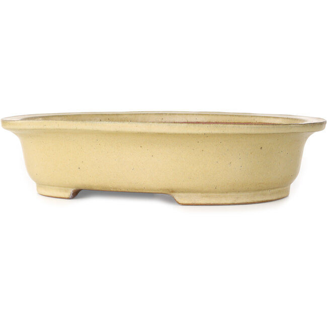 Maceta ovalada para bonsái de color blanco roto de Reiho - 460 x 322 x 92 mm