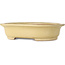Maceta ovalada para bonsái de color blanco roto de Reiho - 460 x 322 x 92 mm
