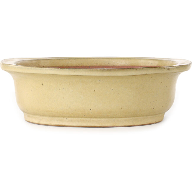 Pot à bonsaï ovale blanc cassé de Reiho - 460 x 322 x 92 mm