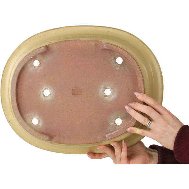 Maceta ovalada para bonsái de color blanco roto de Reiho - 460 x 322 x 92 mm