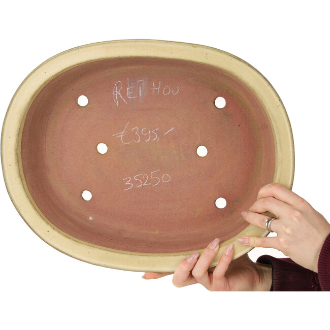 Maceta ovalada para bonsái de color blanco roto de Reiho - 460 x 322 x 92 mm