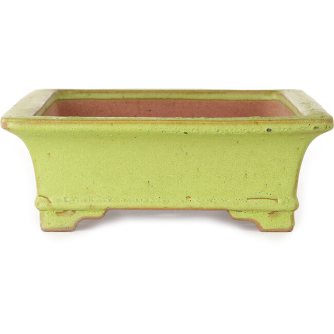 Rechthoekige gele bonsaipot van Reiho - 345 x 240 x 85 mm