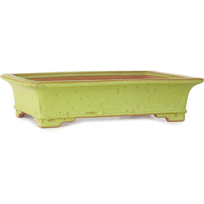 Pot à bonsaï rectangulaire jaune de Reiho - 345 x 240 x 85 mm
